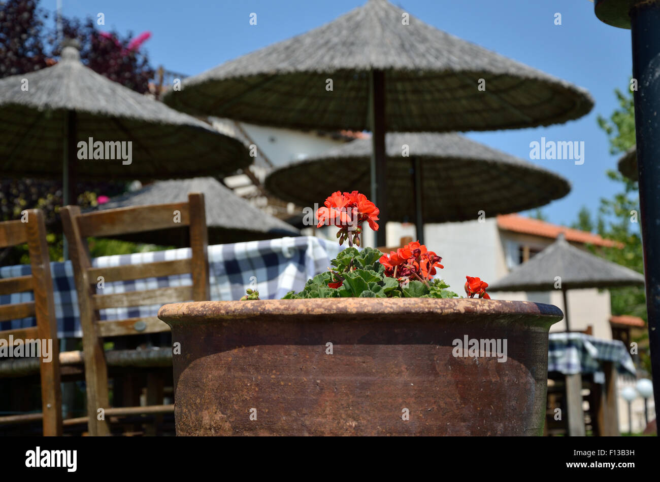 Red muscat with Greek restaurant in background Stock Photo