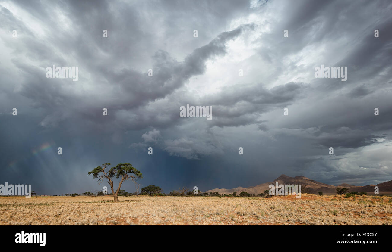 Thunderstorm over a dry desert landscape. Namib Rand, Namibia. March 2014. Non-ex. Stock Photo