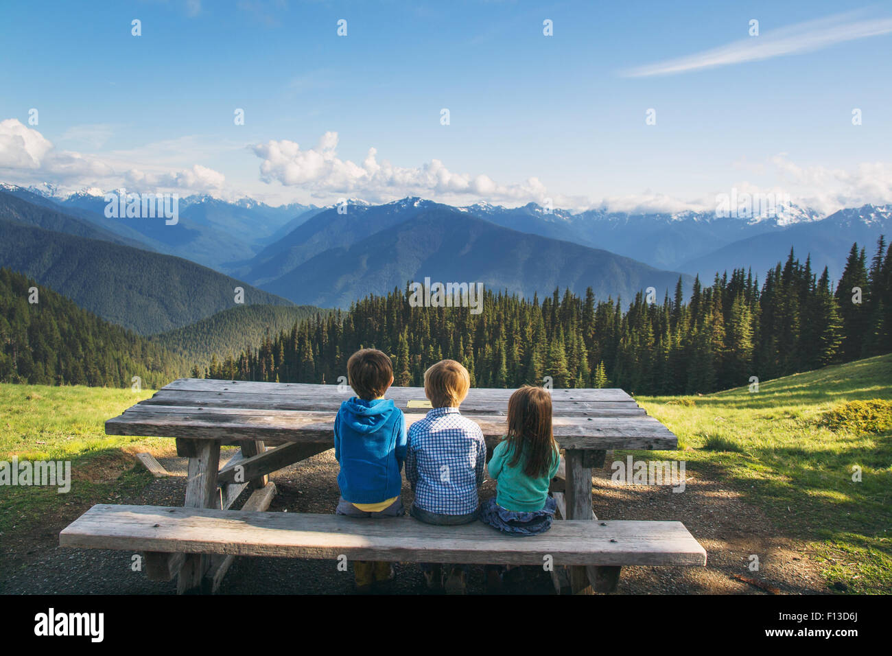 Rear view of three children sitting on a bench looking at view, USA ...