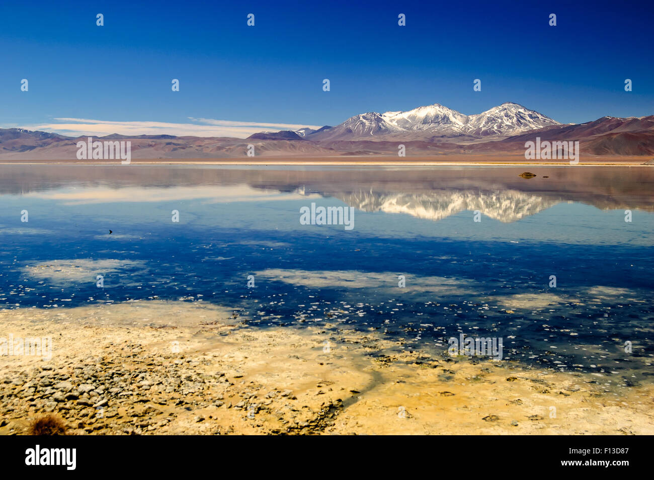 Lagoon, Maricunga, Atacama Desert, Chile Stock Photo