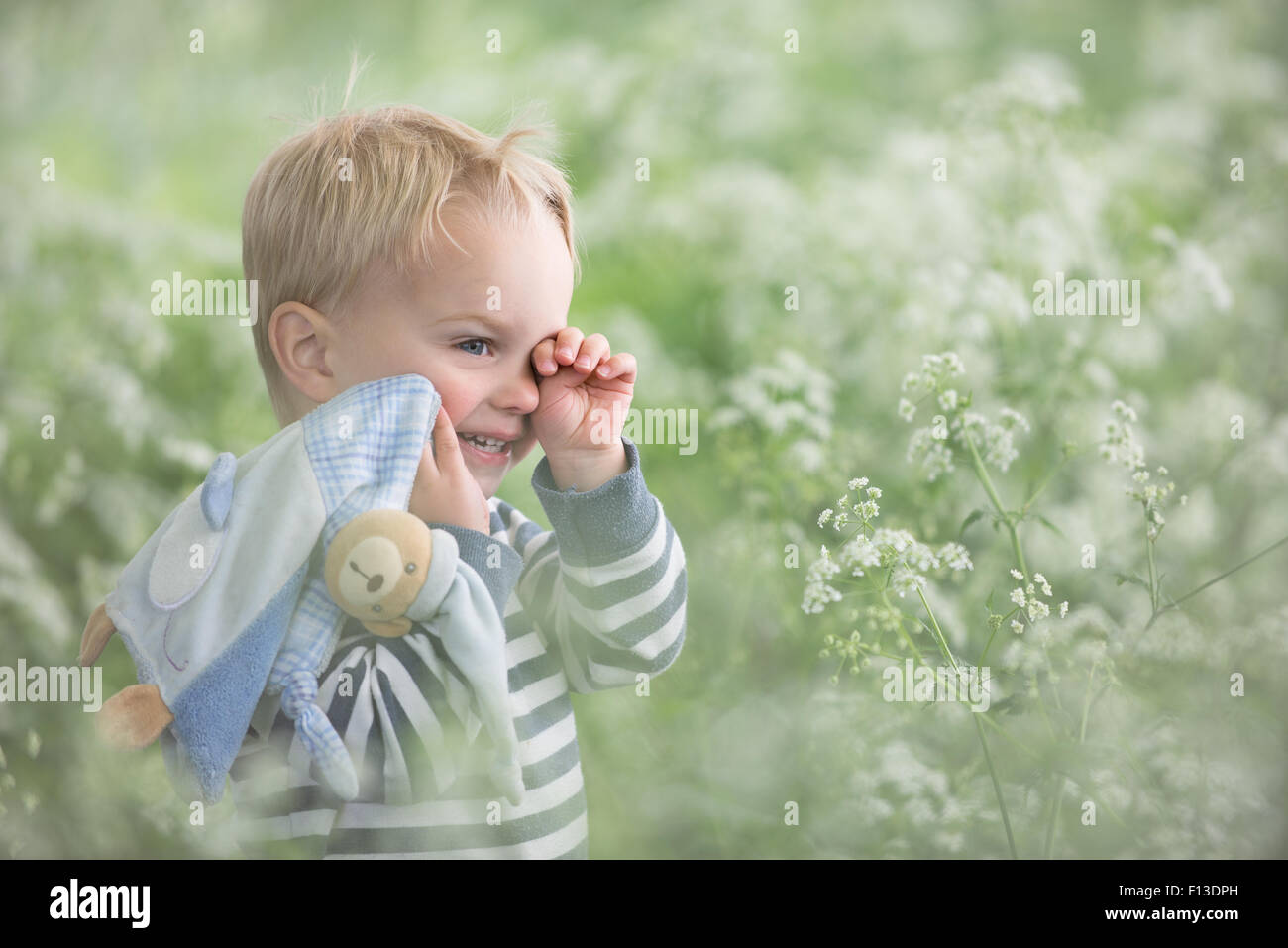 Tired toddler standing in a field rubbing his eyes Stock Photo