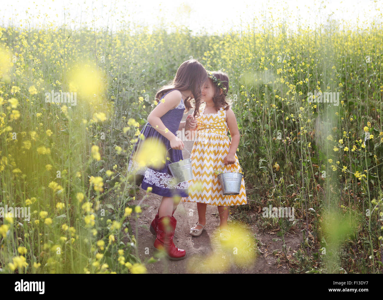 Two girls with buckets picking flowers Stock Photo Alamy
