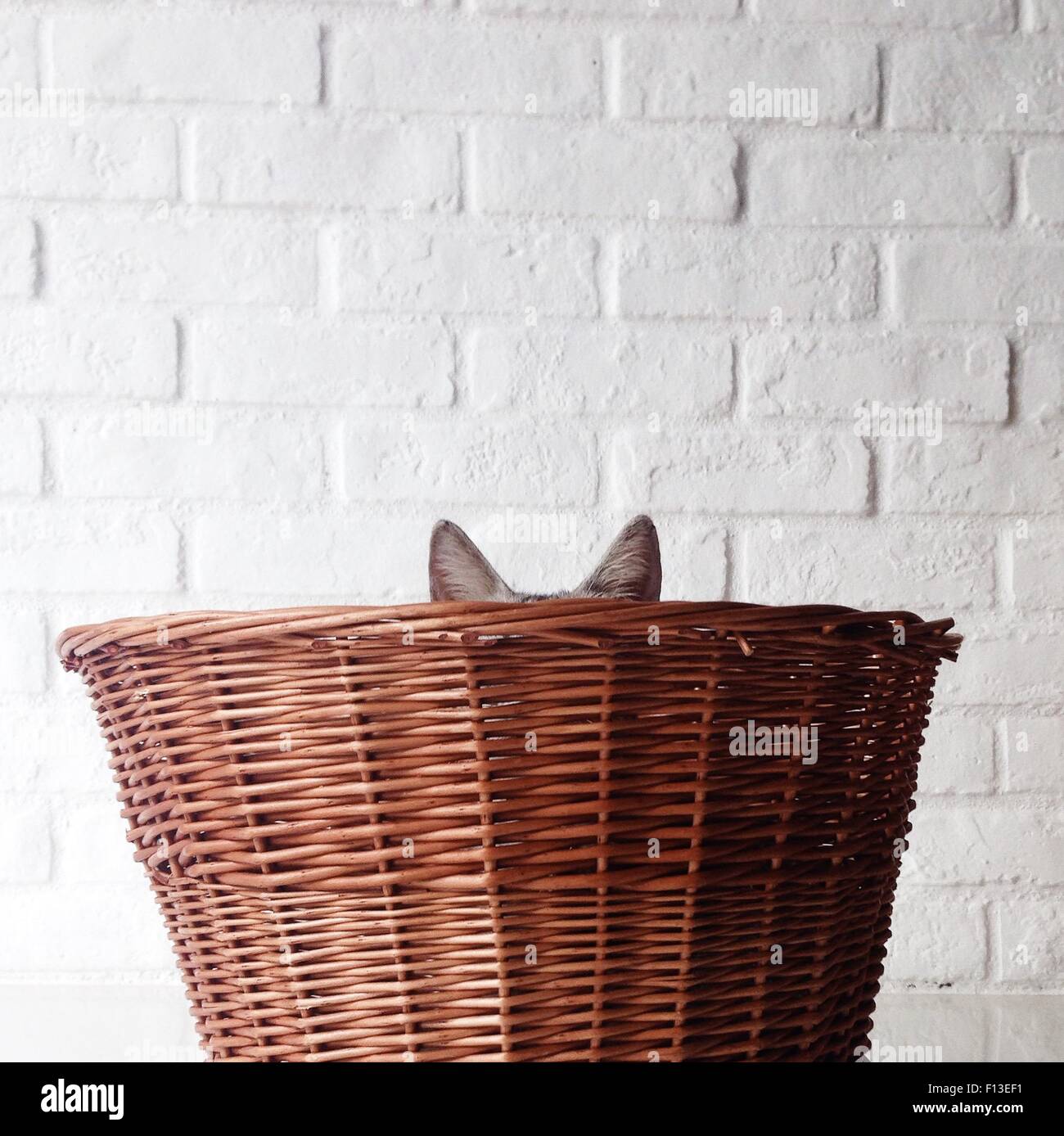 Cat hiding in a Basket Stock Photo