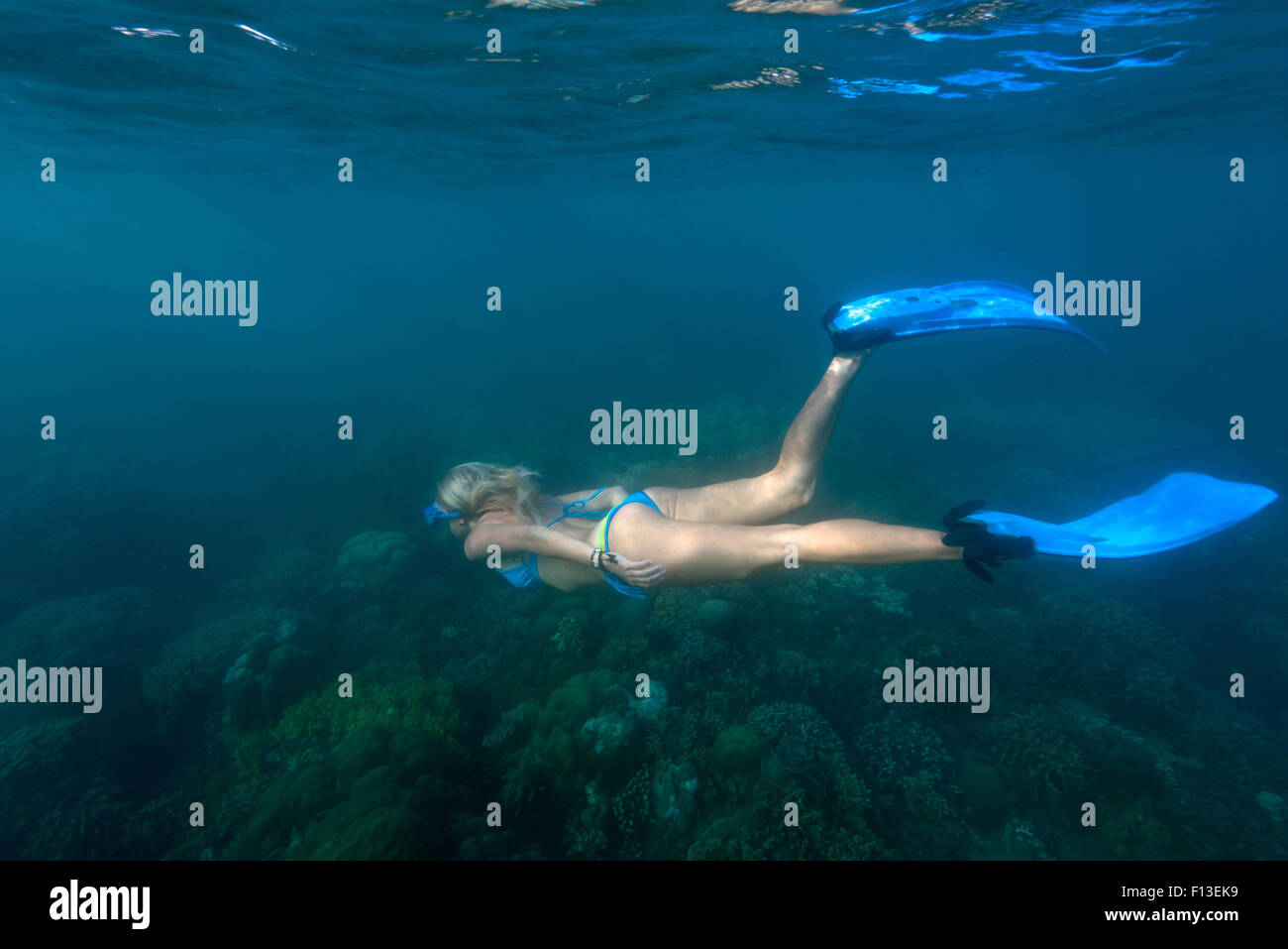Woman snorkeling underwater, Bali, Indonesia Stock Photo