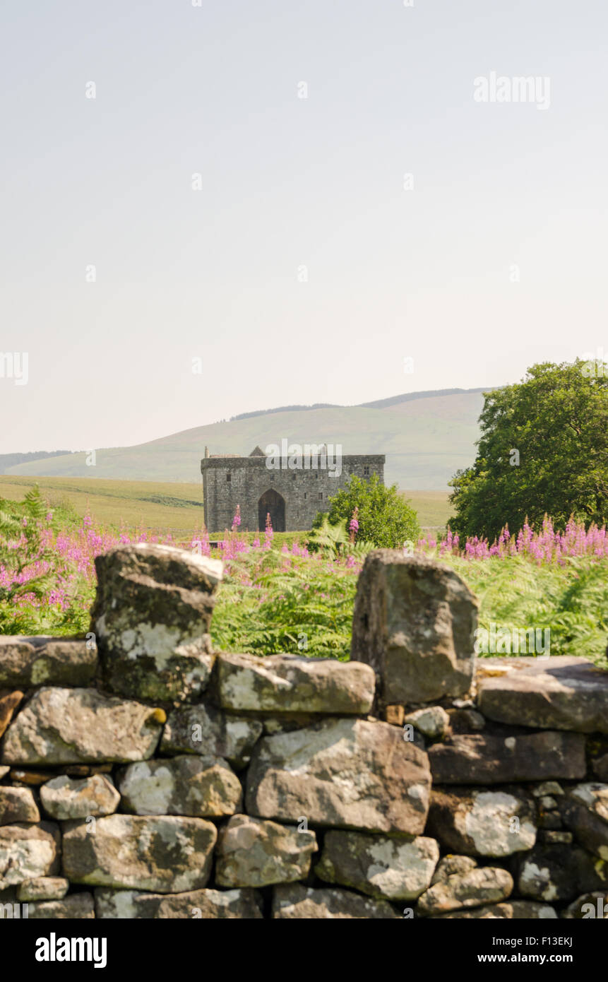 Historic Scotland's Hermitage Castle, from the chapel ruins at