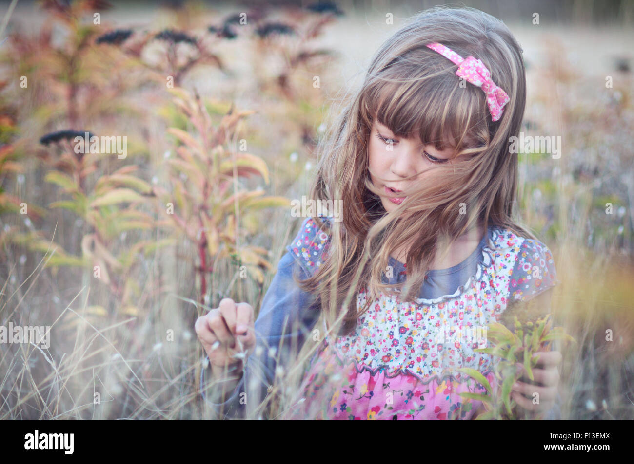 Girl playing in a flower field Stock Photo - Alamy