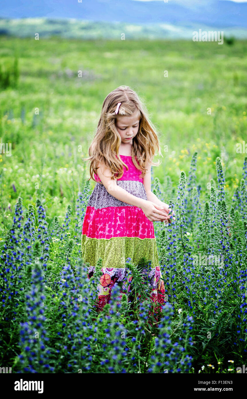 Girl in the meadow hi-res stock photography and images - Alamy