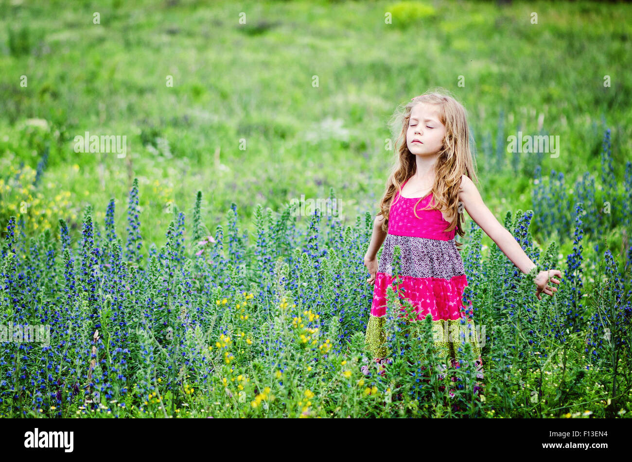 Girl standing in a field with outstretched arms Stock Photo