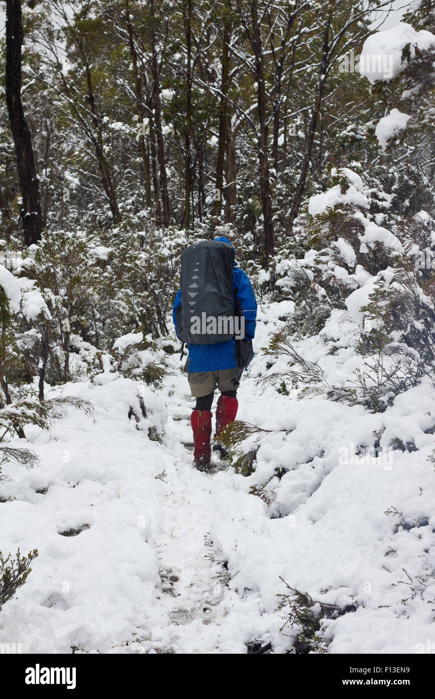 Man hiking through snow, Cradle mountain, Lake St Clair National Park