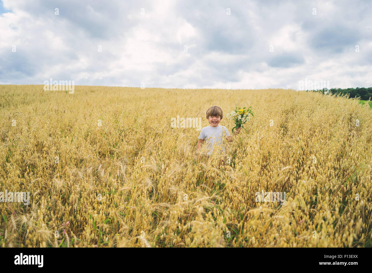Boy happy field happiness hi-res stock photography and images - Alamy