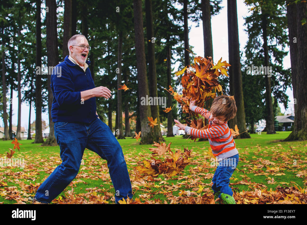 Boy throwing leaves at his grandfather Stock Photo