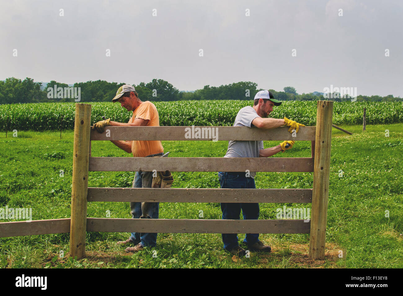 Two men building a wooden fence on a farm Stock Photo