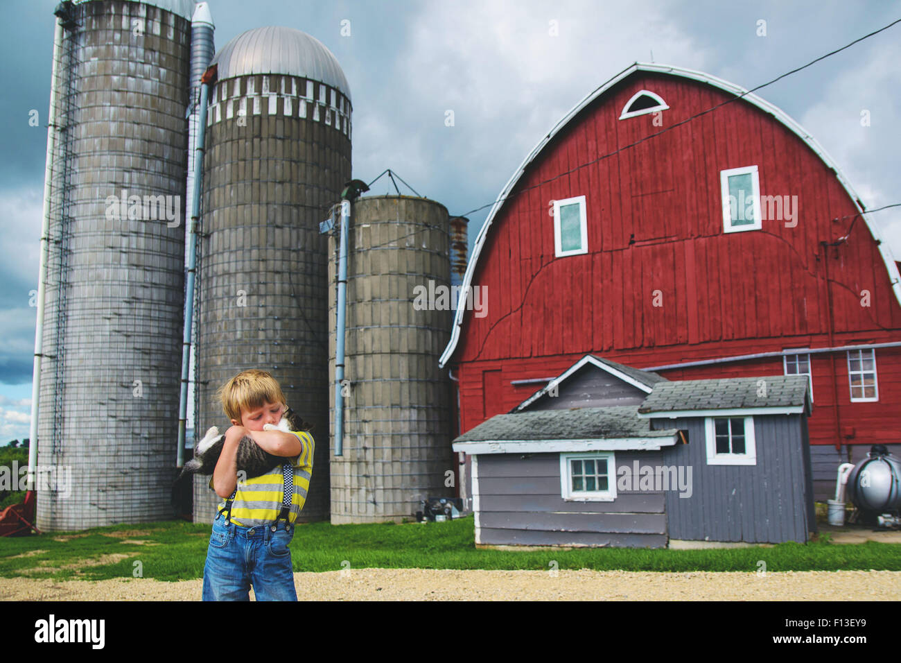 Boy standing on a farm cuddling a cat, USA Stock Photo