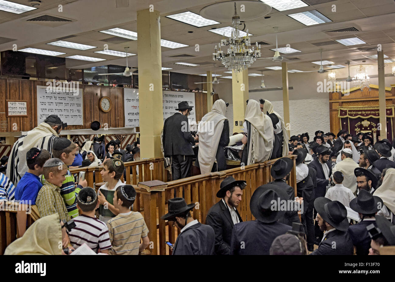 Torah reading at morning services in an orthodox Jewish congregation in Brooklyn, New York Stock Photo