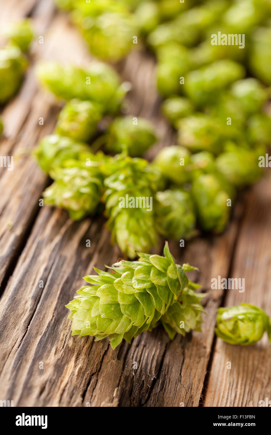 Fresh green hops on wooden desk Stock Photo