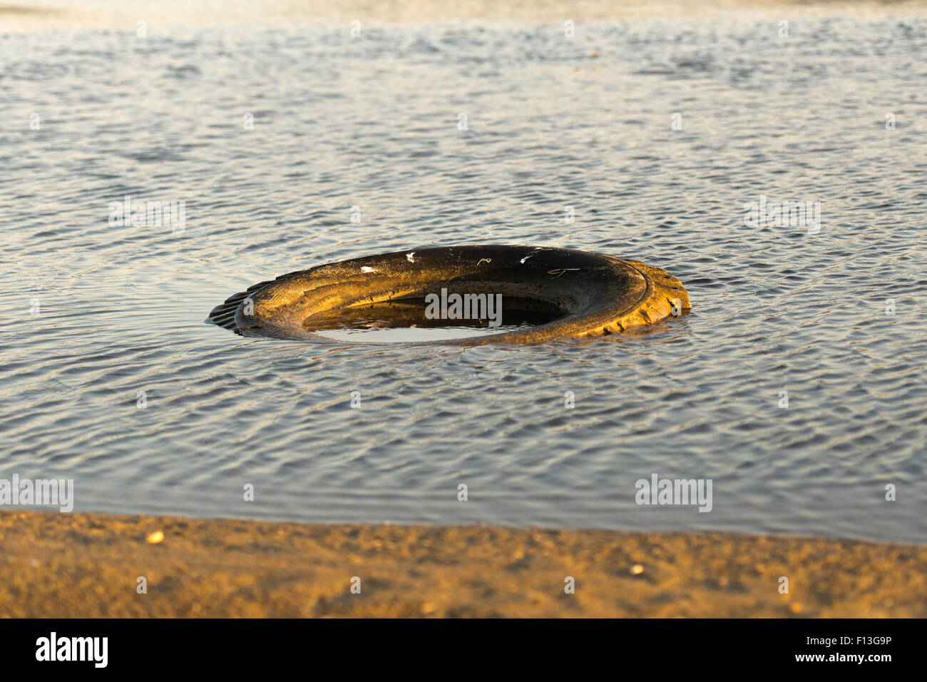Polluted beach with a truck wheel in it. Stock Photo