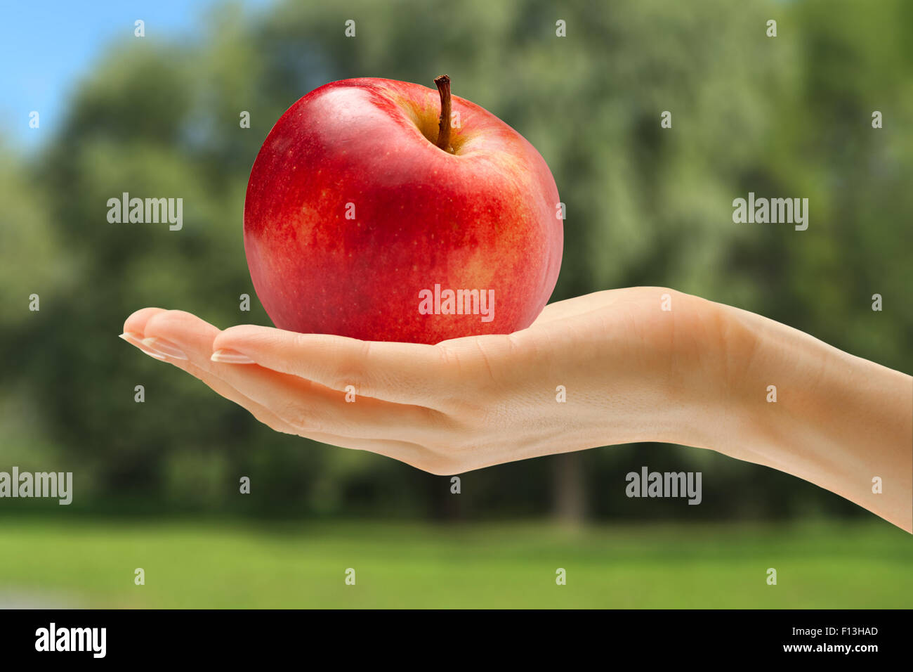 Female hand in closeup holding red apple Stock Photo