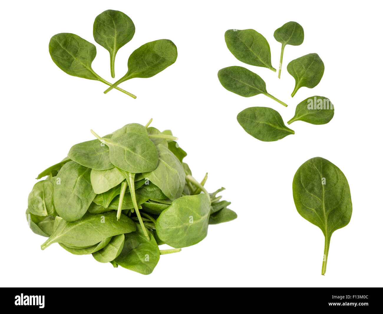 Set of green leaves of spinach isolated on white background Stock Photo ...