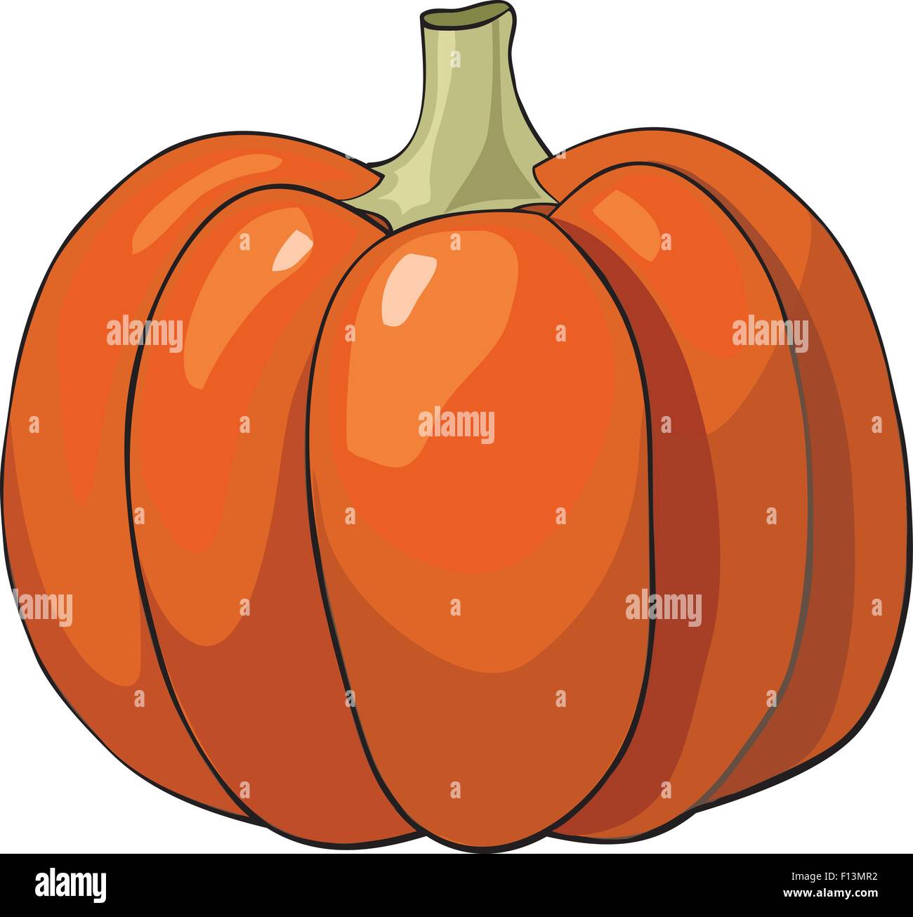 Pumpkin isolated on white background Stock Vector Image & Art - Alamy
