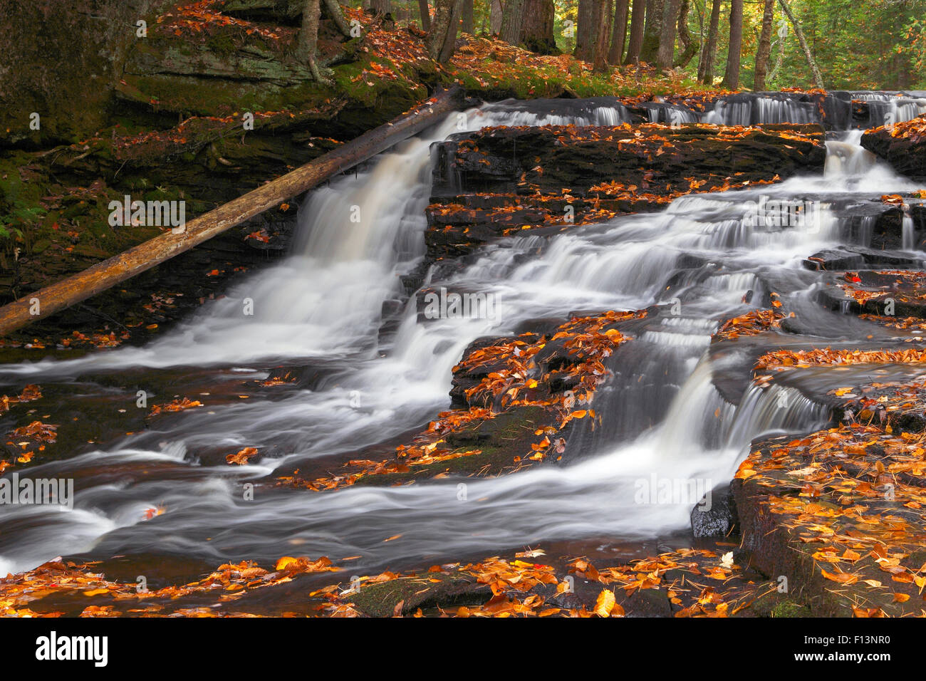 Sturgeon river hires stock photography and images Alamy