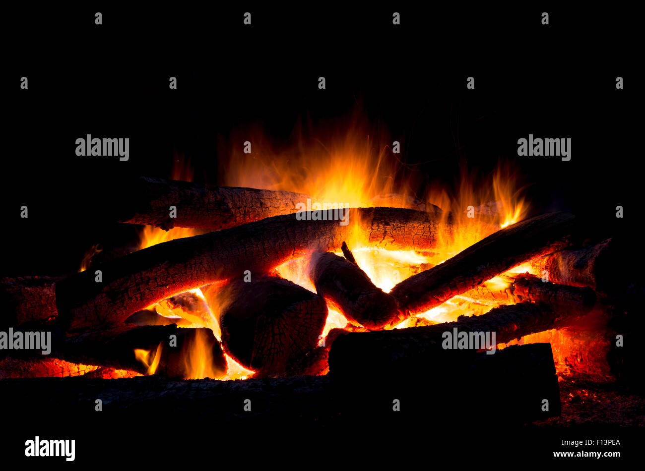 Bonfire in the forest during night at the summertime Stock Photo - Alamy