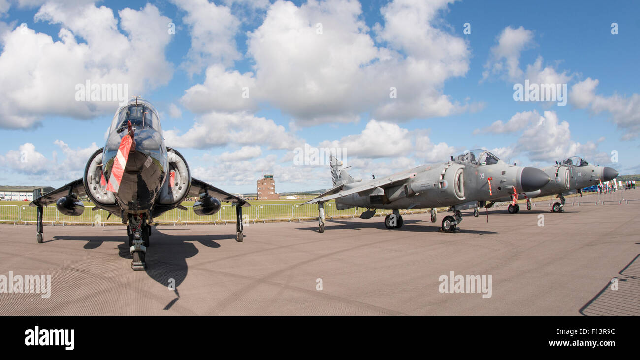 Royal Navy Sea Harriers at RNAS Culdrose Air Day 2015 Stock Photo