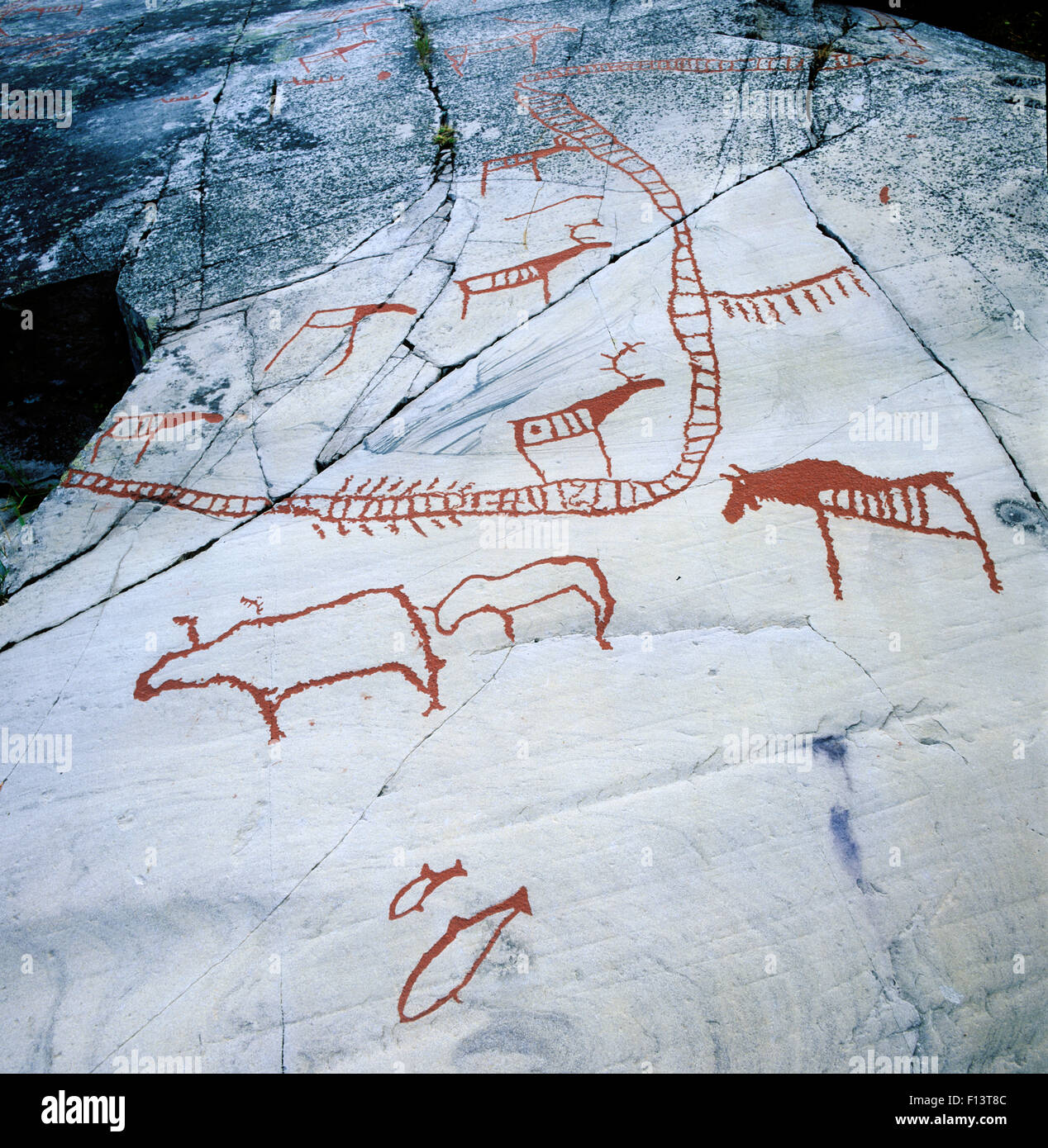 6000-7000 years old stone-age rock carvings, Hjemmeluft UNESCO World Heritage site, Alta, Finnmark,  Norway. Stock Photo