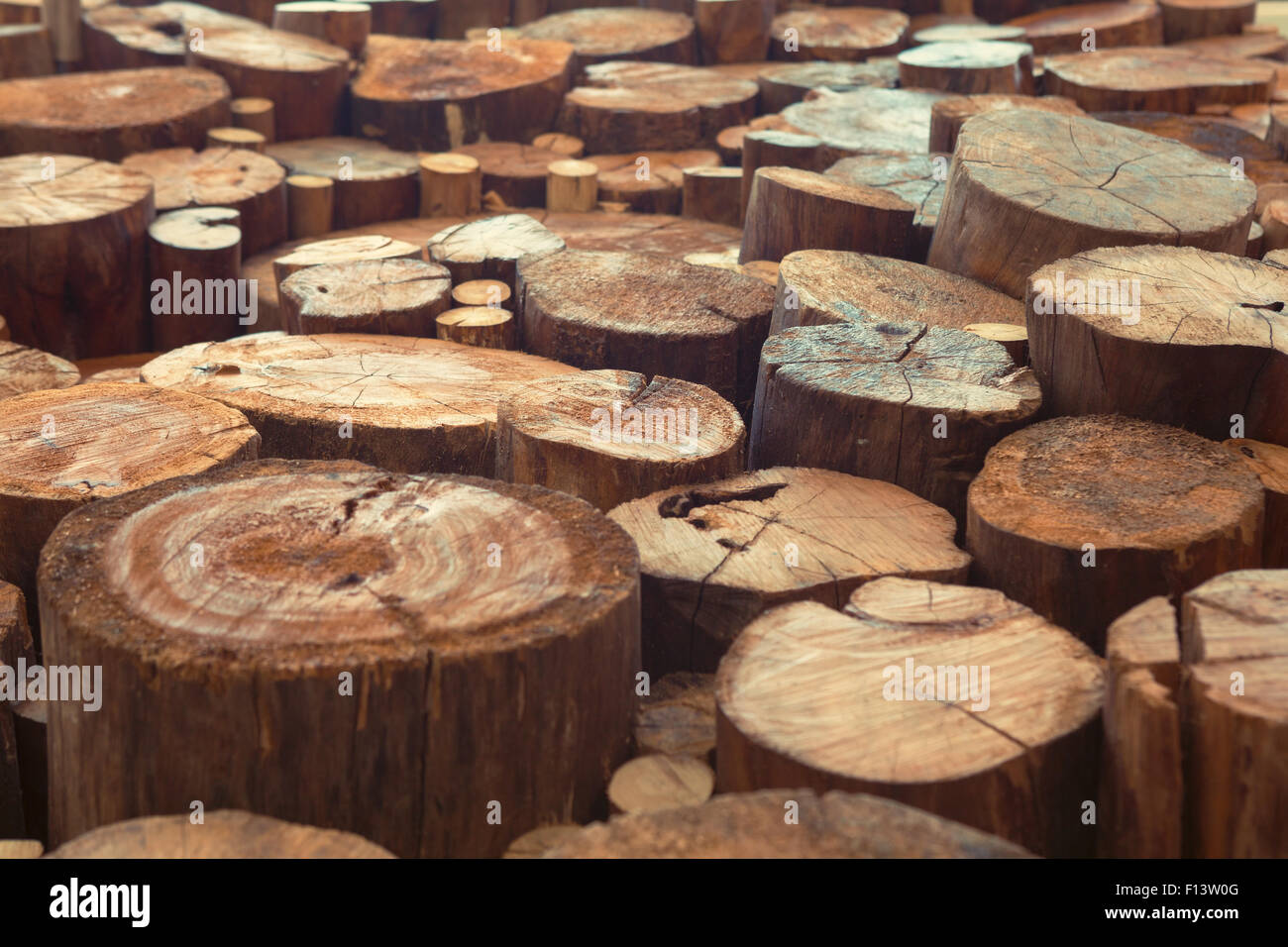 Old teak wood stumps with cracks and annual rings background Stock