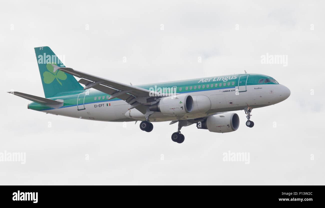 Airbus A319-100, narrow-body, commercial passenger twin-engine jet