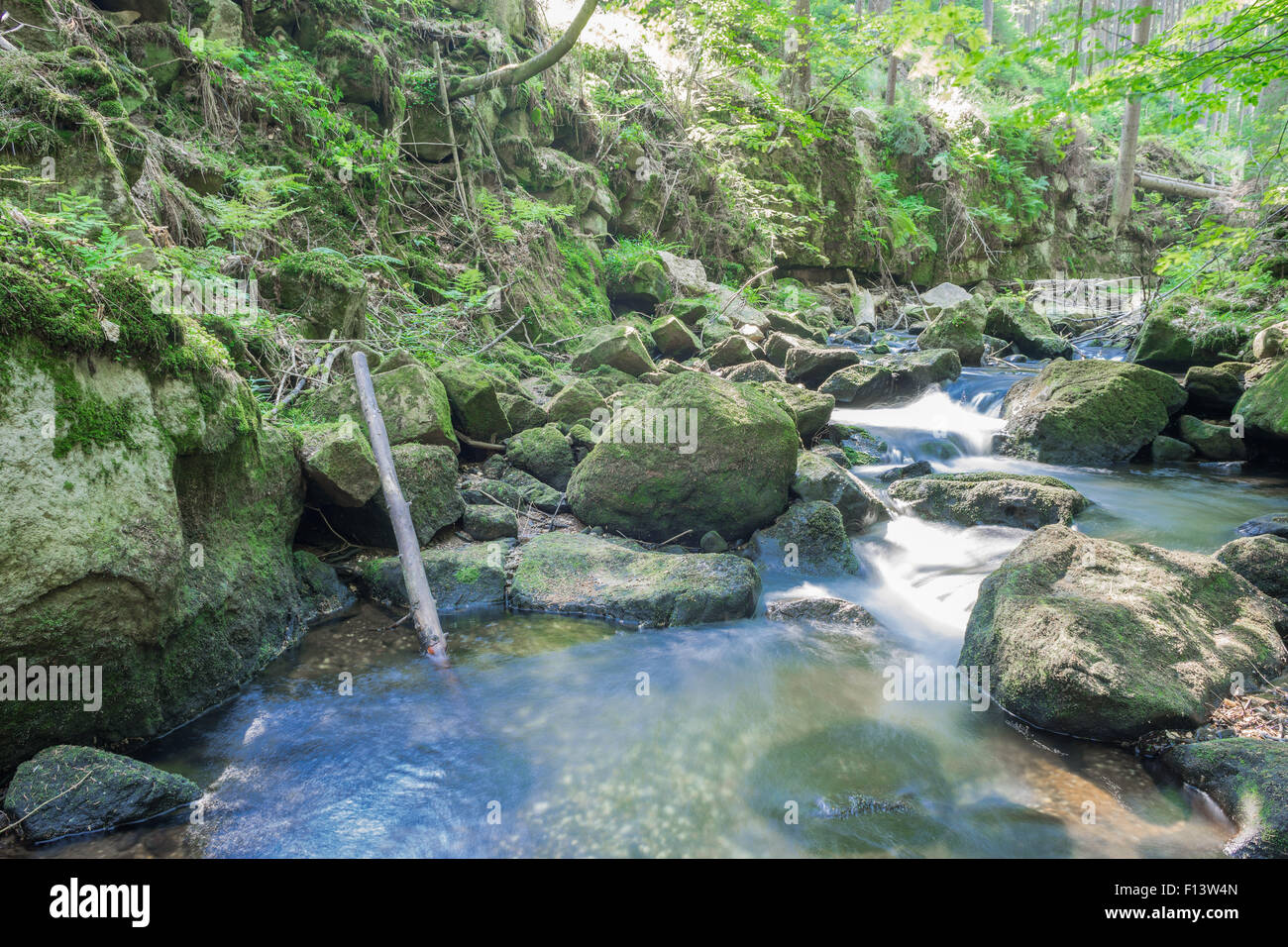 Wild mountain river bed in the dry summer Bystrzyca stones boulders logs covered with moss Stock Photo
