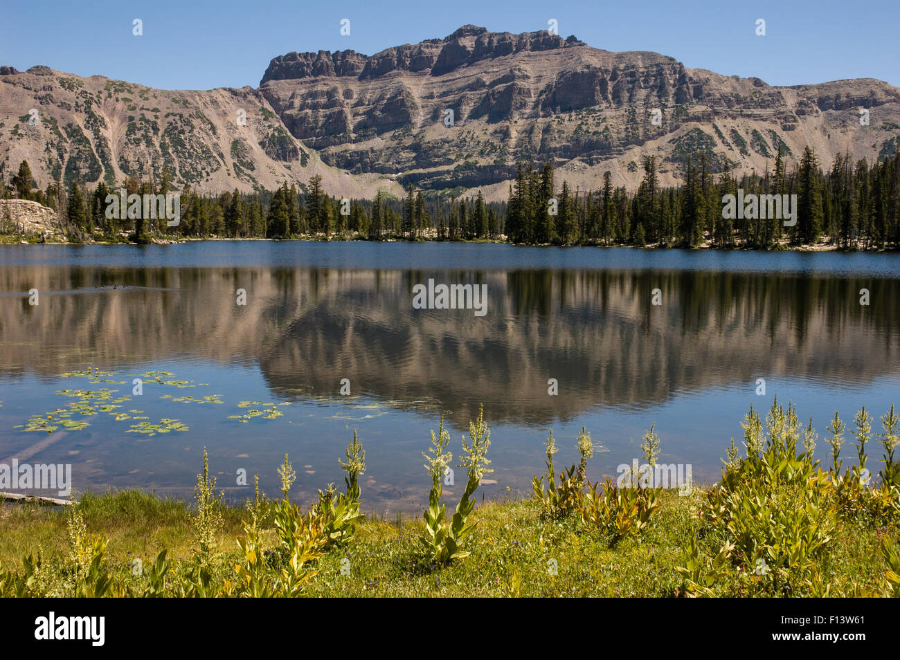 Mountain reflecting in lake Stock Photo - Alamy