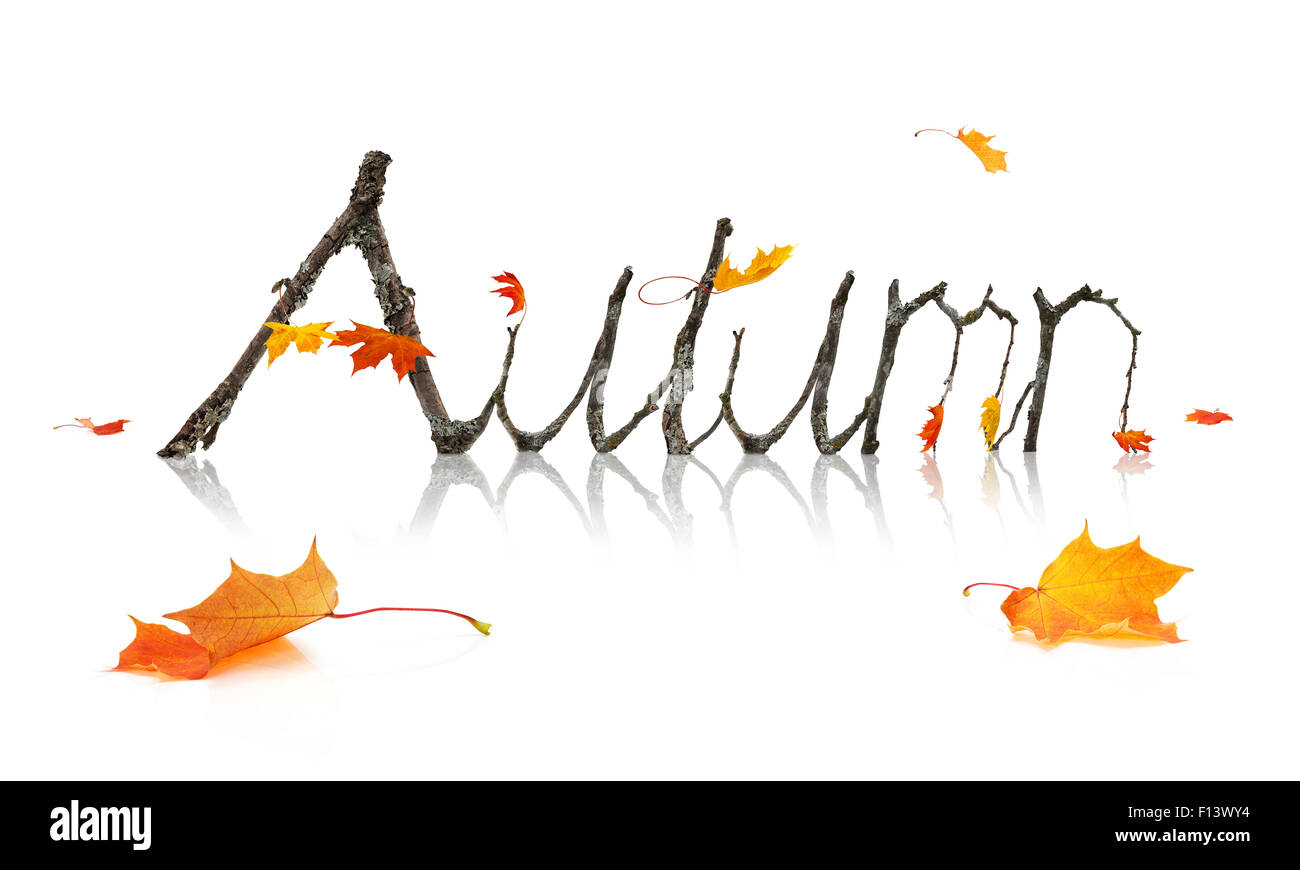 Maple leaves and branches shaped as letters from the alphabet forming the word Autumn isolated on a white background. Stock Photo