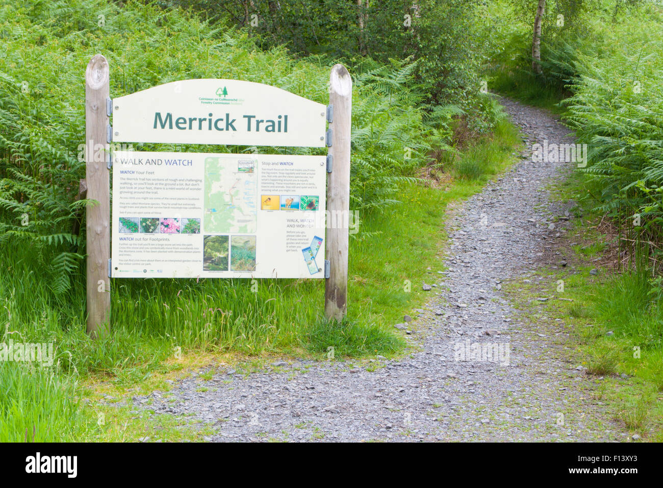 Merrick Trail Footpath, Glen Trool, Galloway Forest Park, Dumfries & Galloway, Scotland, UK Stock Photo