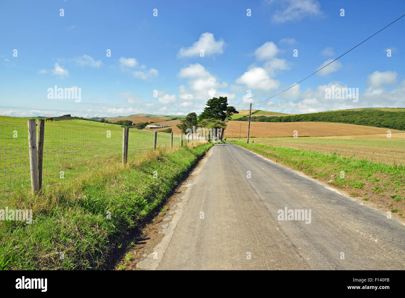 low angle view of rural countryside road in Isle of Wight UK Stock Photo