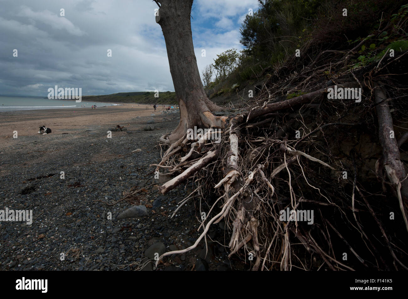 Rock barriers erosion hi-res stock photography and images - Alamy