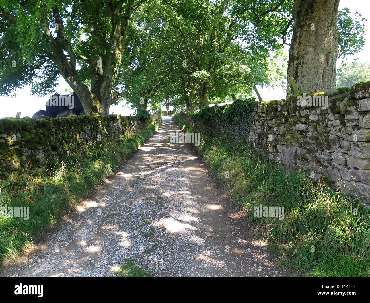 Unmetalled road hi-res stock photography and images - Alamy