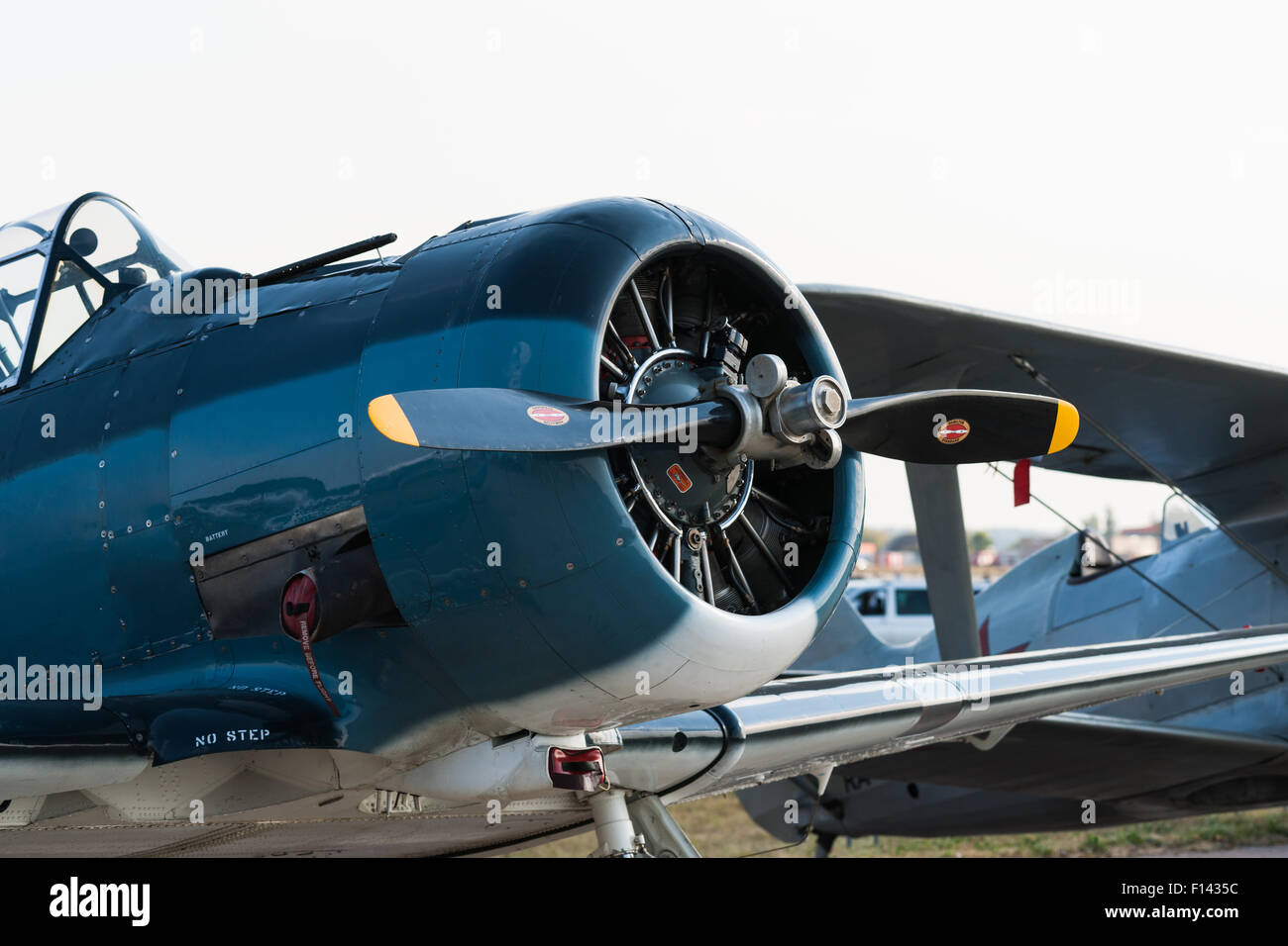 Moscow, Russia, Wednesday, August 26, 2015. The Twelfth International Moscow Aerospace Show MAKS 2015 was opened in Zhukovsky city in the Moscow Region on August 25, 2015. The aim of the show is to demonstrate Russian aerospace achievements, make contracts and negotiate international projects. North American Aviation T-6 Texan single-engined advanced trainer aircraft on display at the historic part of the air show. Credit:  Alex's Pictures/Alamy Live News Stock Photo
