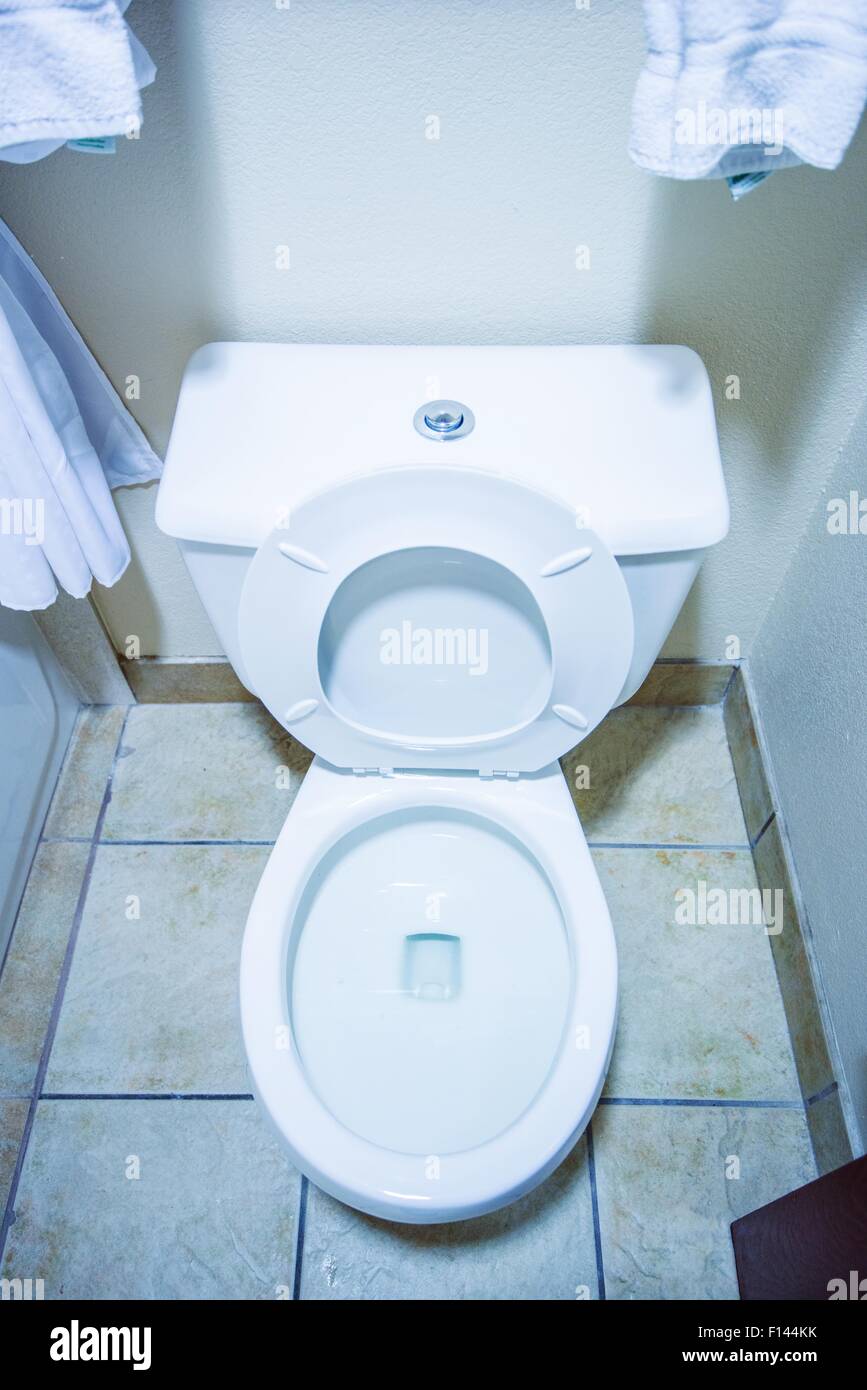 Clean Toilet Bowl in a Small Bathroom Vertical Photo. Home Interior. Stock Photo