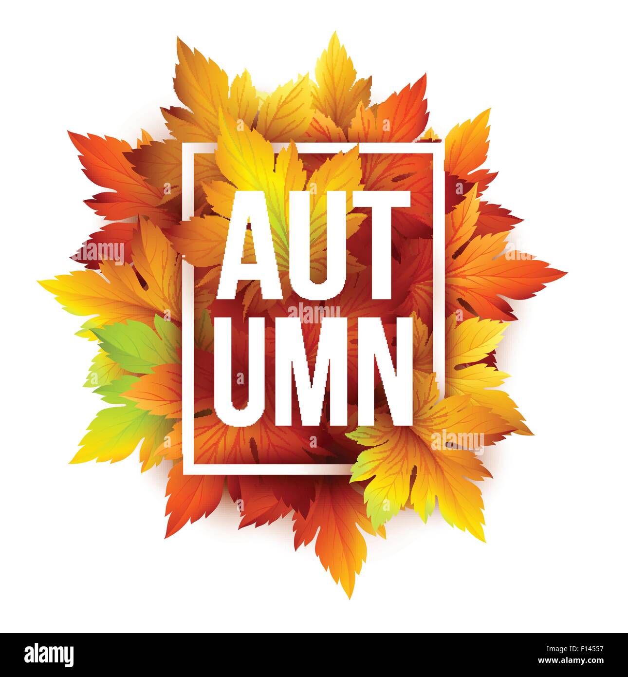 Autumn background with leaf and wood texture. Vector illustration Stock ...