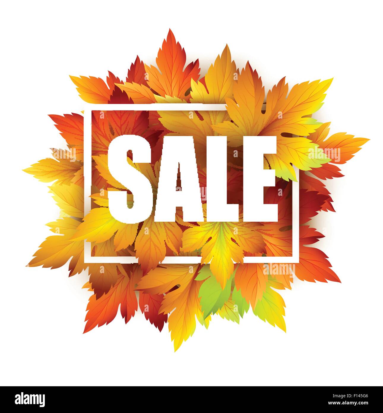 Autumn typographic. Fall leaf. Vector illustration Stock Vector