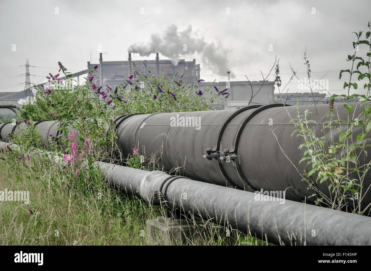 Pipeline and steelworks. Photographed in Teesside, UK Stock Photo