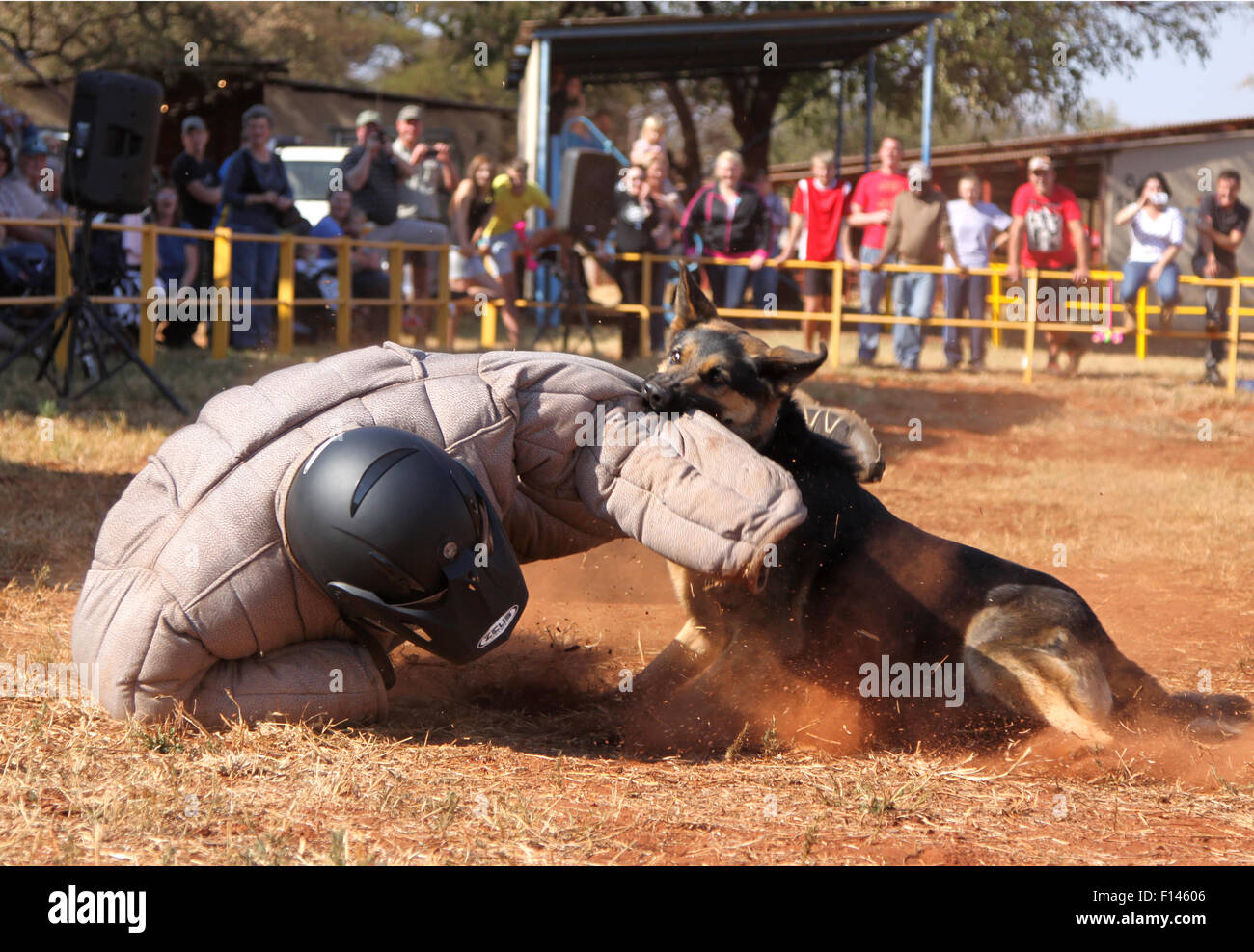 Police dog "south africa" hires stock photography and images Alamy
