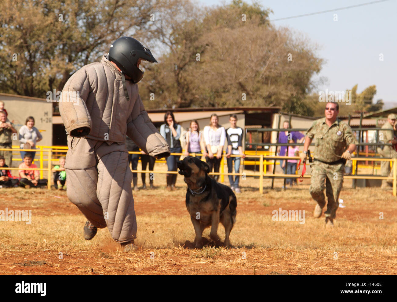 Police dog "south africa" hires stock photography and images Alamy