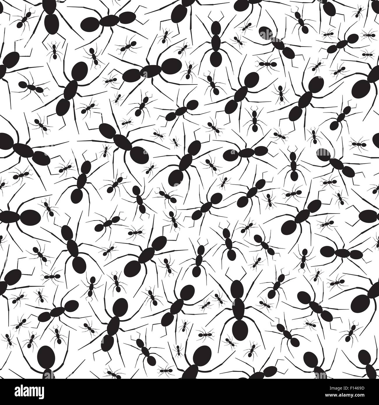 Ant Stock Vector Images Alamy