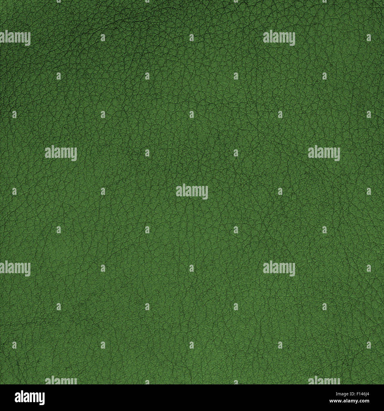 Closeup detail of green leather texture background Stock Photo - Alamy