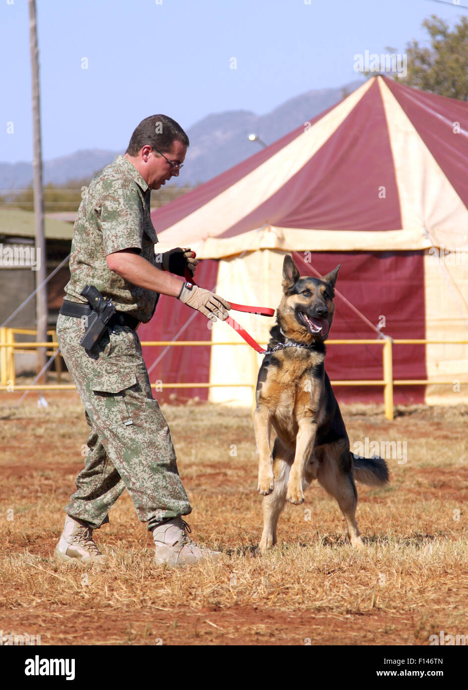 THABAZIMBI, SOUTH AFRICA August 1 Special Trained Dog show at