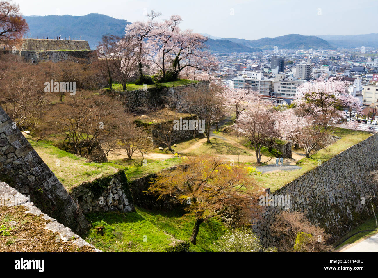 Japan, Tsuyama Castle. Honmaru walls, looking down to the Ninomaru courtyard, with city and mountains beyond, springtime, many cherry blossoms trees. Stock Photo