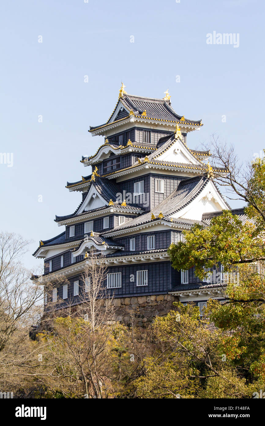 The famous black Crow, karasujo, reconstructed castle keep of Okayama with black timber boards ...