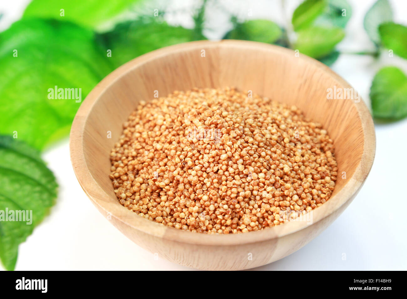 Quinoa Stock Photo