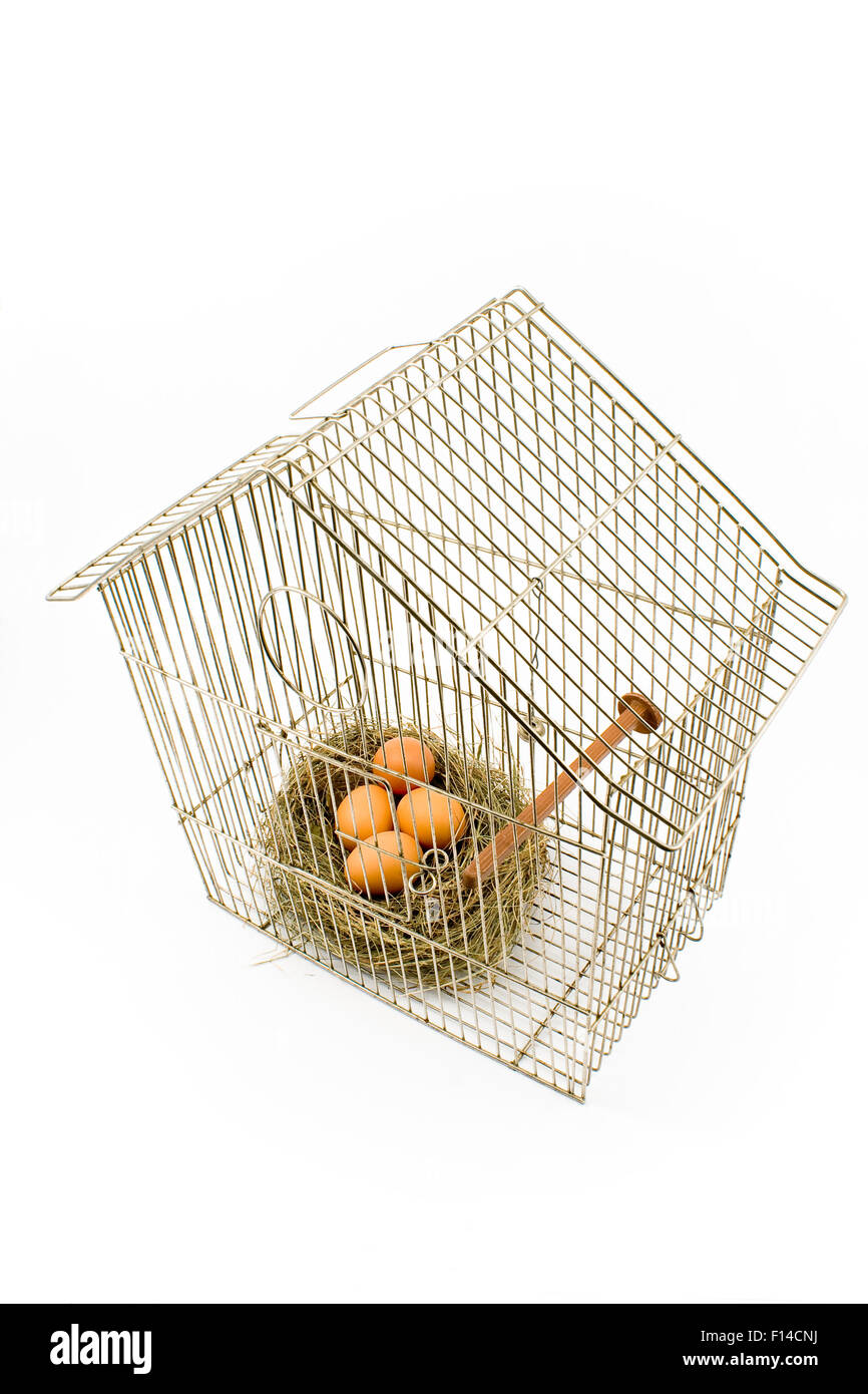Eggs in Nest confined in Bird Cage isolated on white Stock Photo